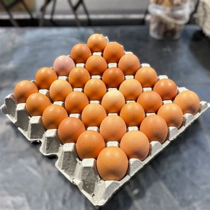 Are quail eggs expensive?