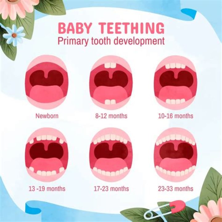 At what age all 32 teeth comes?