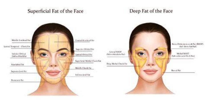 At what age do you lose baby fat in your face?
