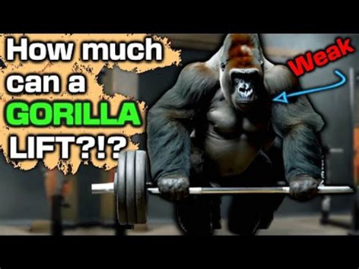 Can a gorilla lift an elephant?