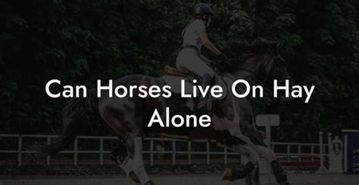 Can a horse be kept alone?