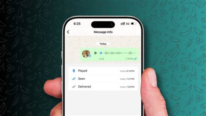 Can a third party read WhatsApp messages?