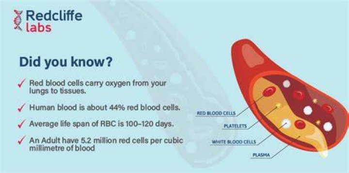Can high red blood cell count cause dizziness?