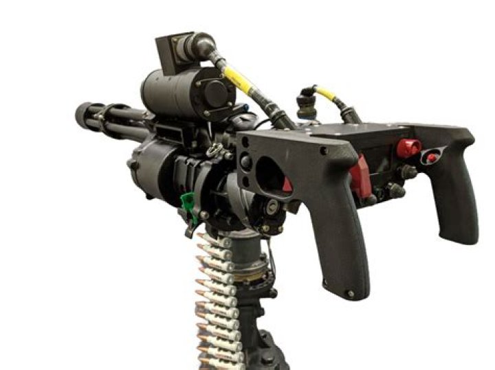 Can I own a pen gun?