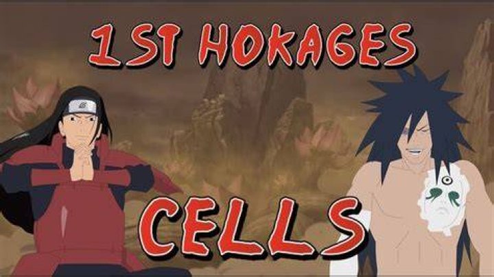 Can Naruto use Hashirama cells?