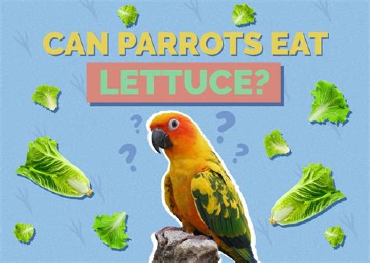 Can parrots eat strawberry leaf?