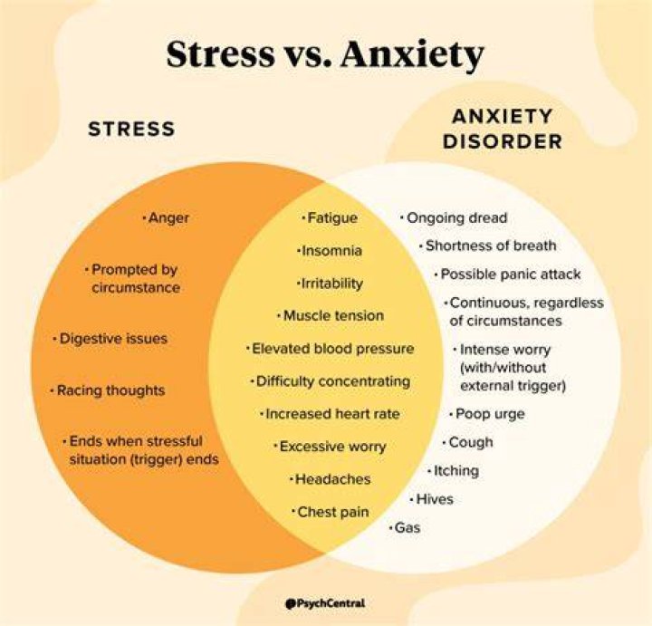 Can stress and anxiety cause dementia?
