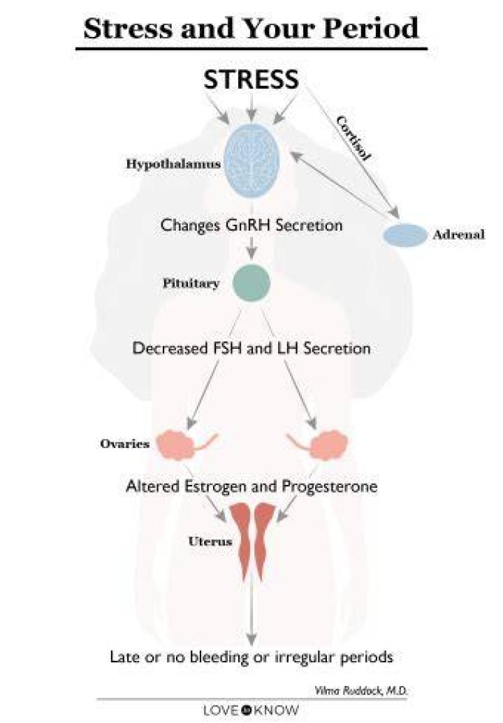 Can stress delay your period?