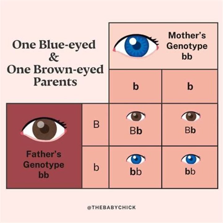 Can two brown eyed parents have green eyed child?