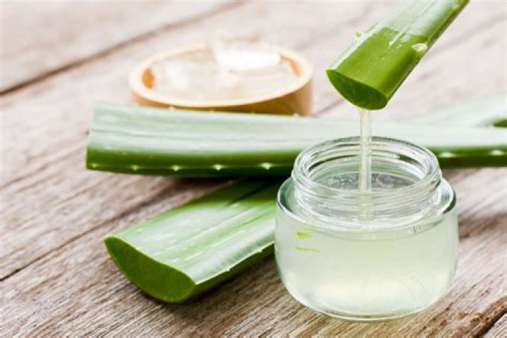 Can we apply aloe vera twice a day?