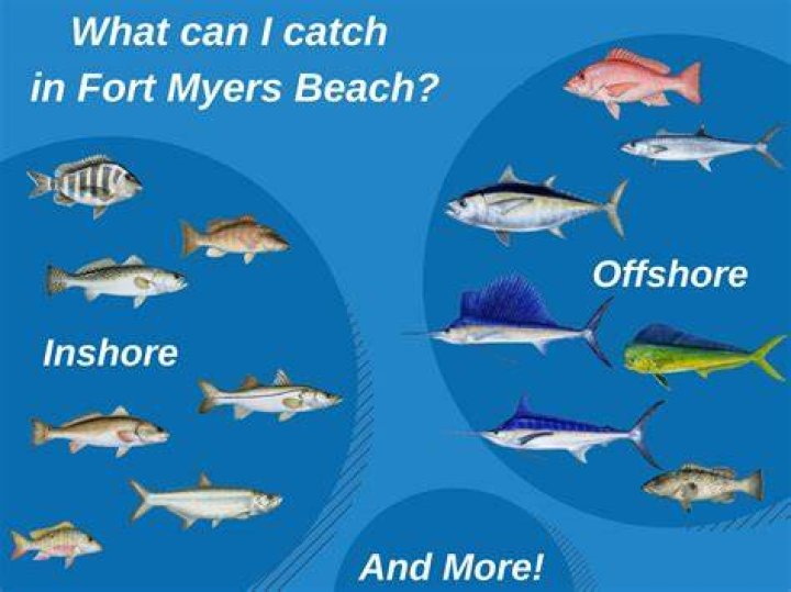 Can you catch mahi in Fort Myers?