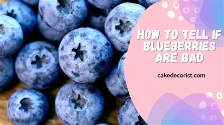 Can you eat moldy blueberries?