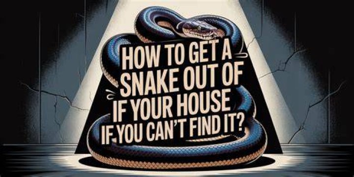 Can you hear a snake in your house?