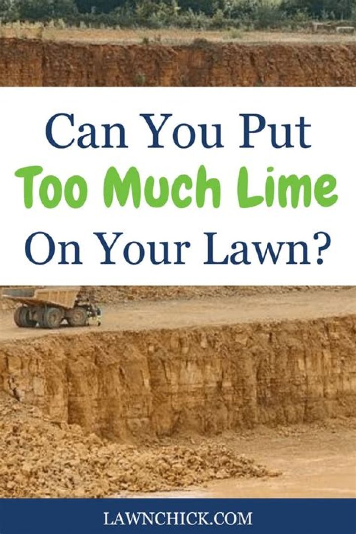 Can you put down too much lime?