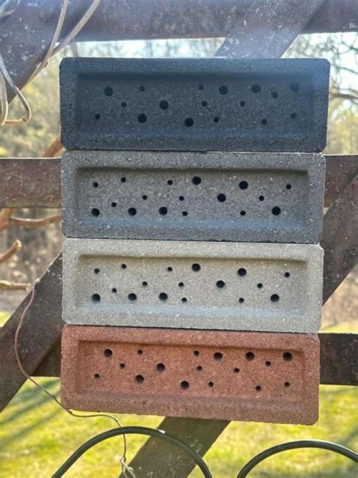 Do bees nest in brick walls?