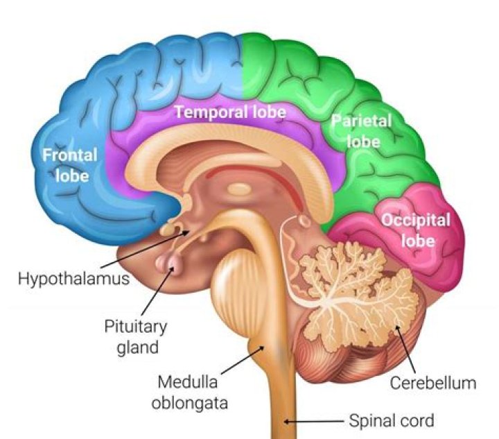 Do I need biology for psychology?