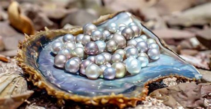 Do Real pearls melt in vinegar?