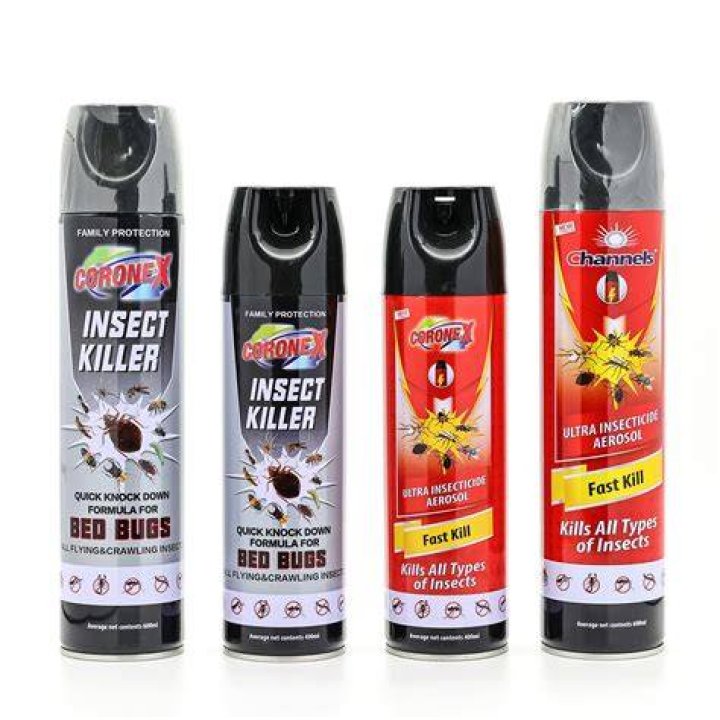 Do survivors get bug spray?