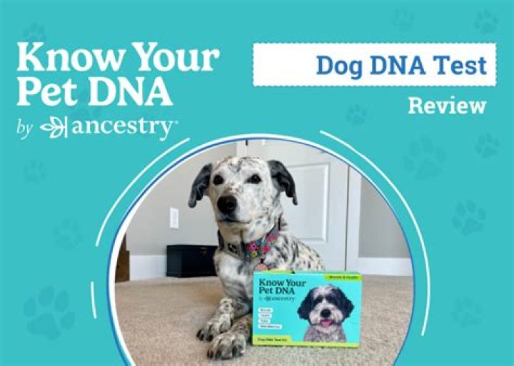 Do you eat DNA?