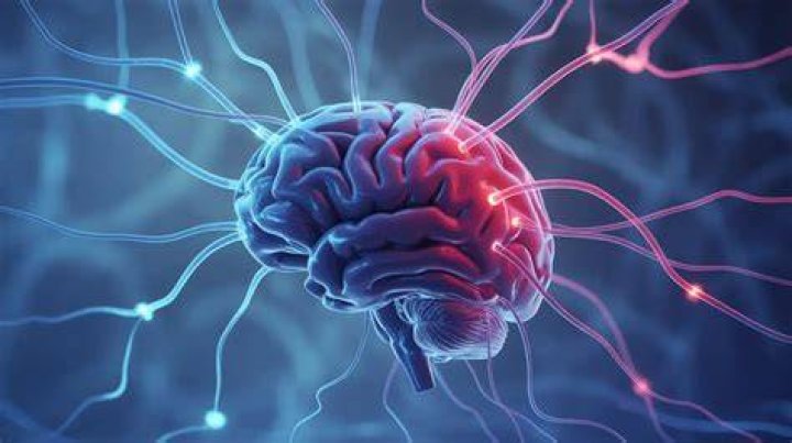 Does Adderall help with memory?