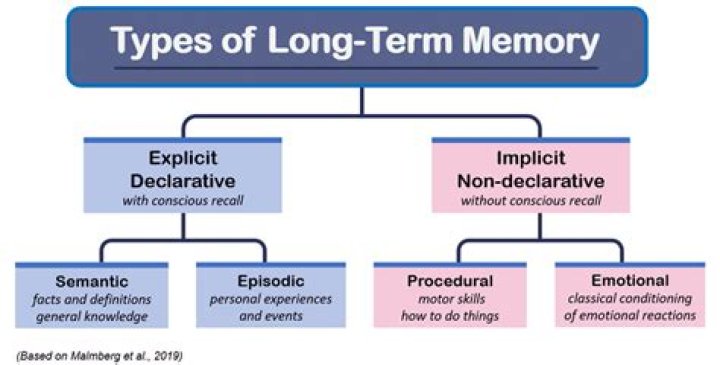 Does epilepsy affect long term memory?