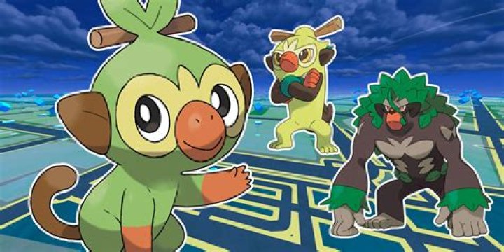 Does Goh catch Grookey?