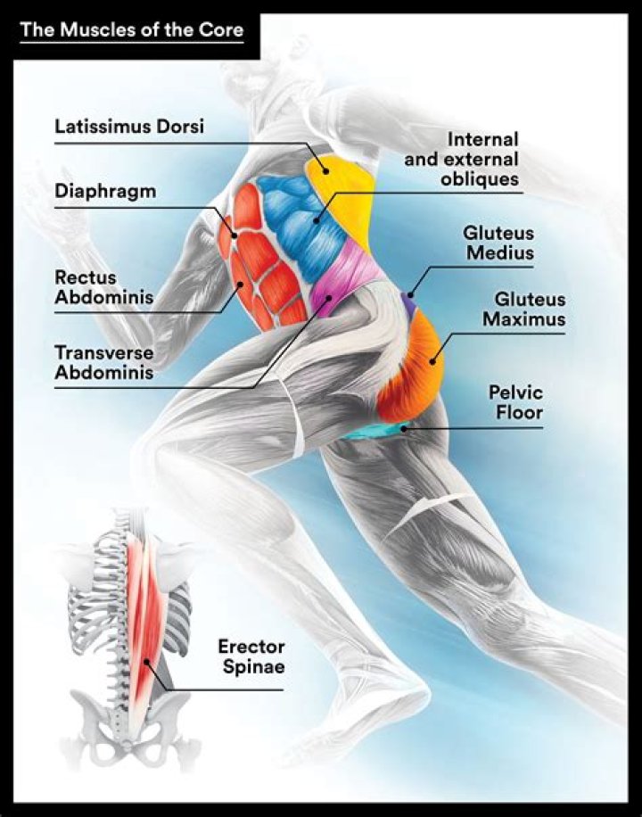 Does your body get used to running?