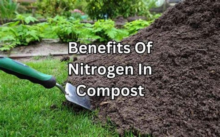 How can I add nitrogen to my lawn naturally?