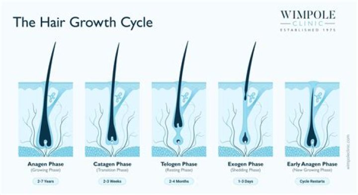 How can I grow my edges?