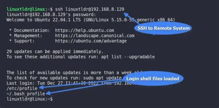 How do I change the login shell in Linux?