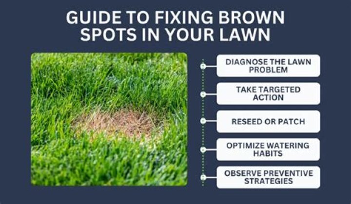 How do I fix big brown spots in my lawn?