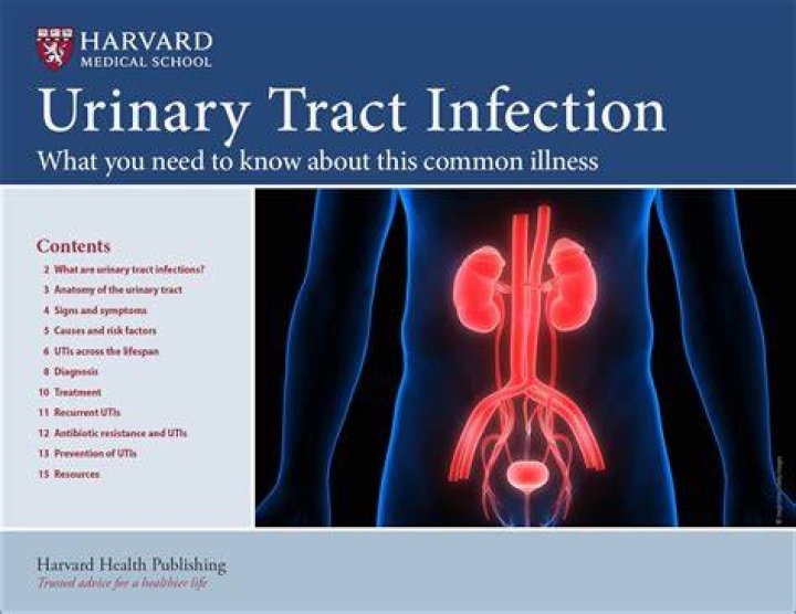 How do I know if I have a UTI or kidney infection?
