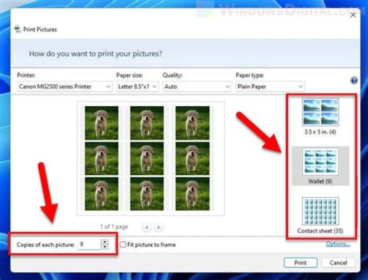 How do I print a picture in the center of paper?