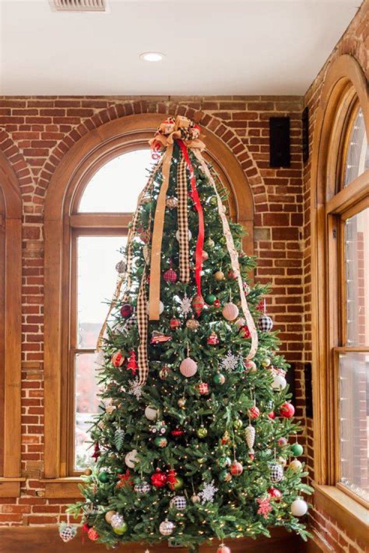 How do I prolong the life of my Christmas tree?