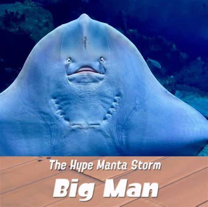 How do you beat Manta storm?