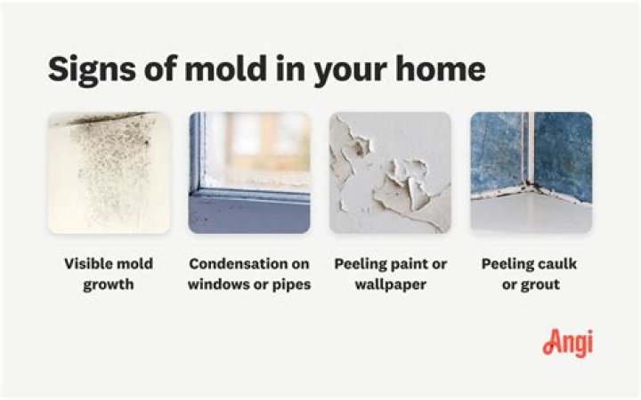 How do you prevent mold in the winter?