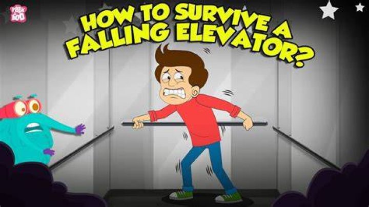 How do you survive free fall?