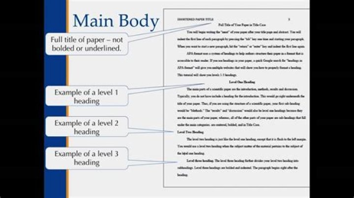 How do you write the main body of a university essay?