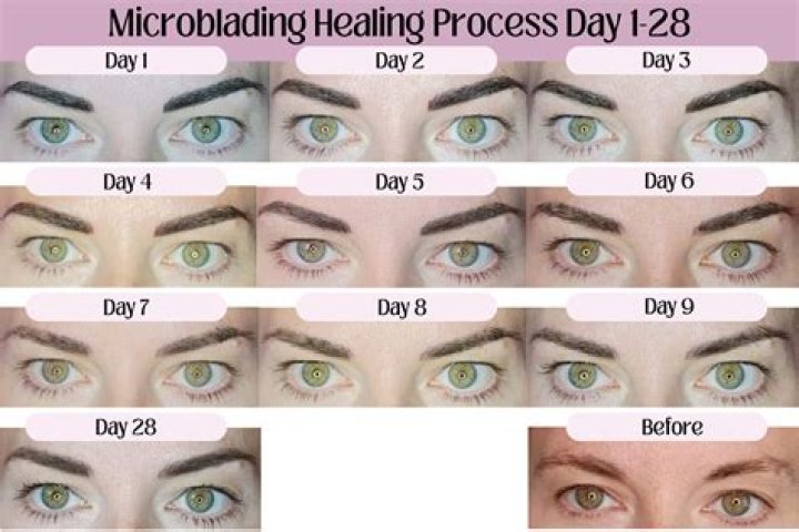 How does microblading look after 1 day?