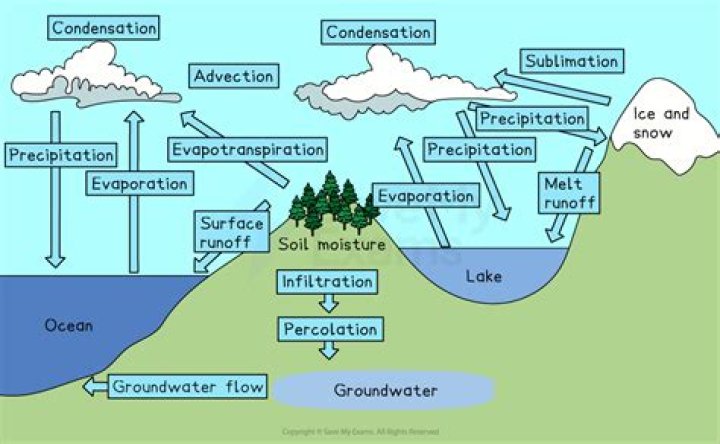 How is soil important in the hydrologic carbon and nutrient cycles?