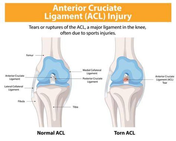 How long does it take for a large skin tear to heal?