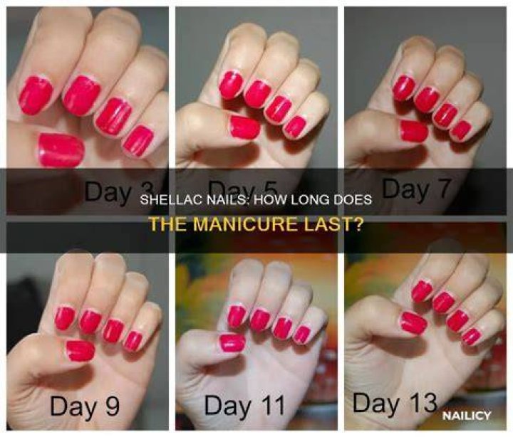 How long does shellac last once mixed?