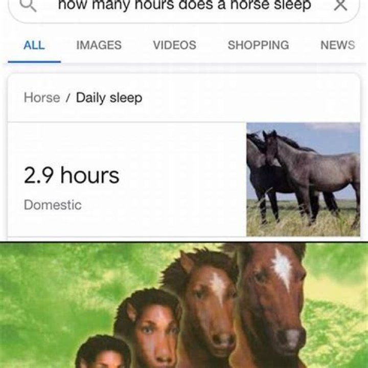 How many hours a night do horses sleep?