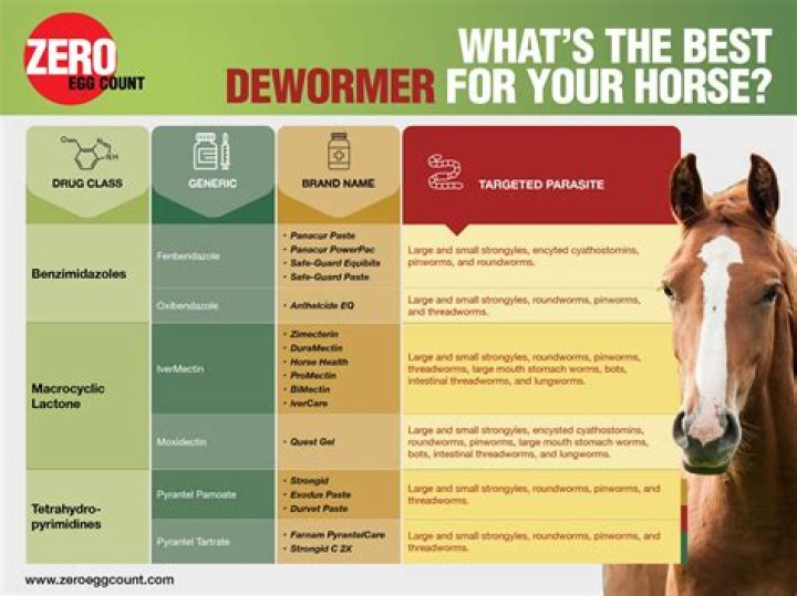 How often should hens be wormed?