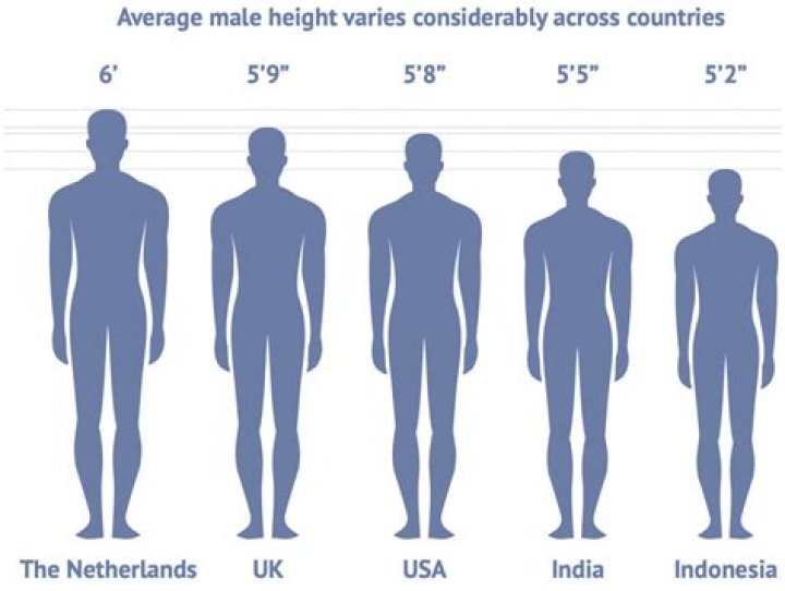 Is 5'11 a good height for a guy?