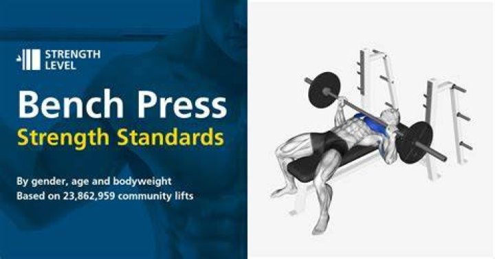 Is a 200lb bench good?