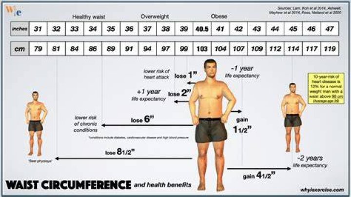 Is a 32 inch waist big?