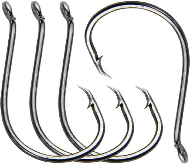 Is a circle hook good for catfish?