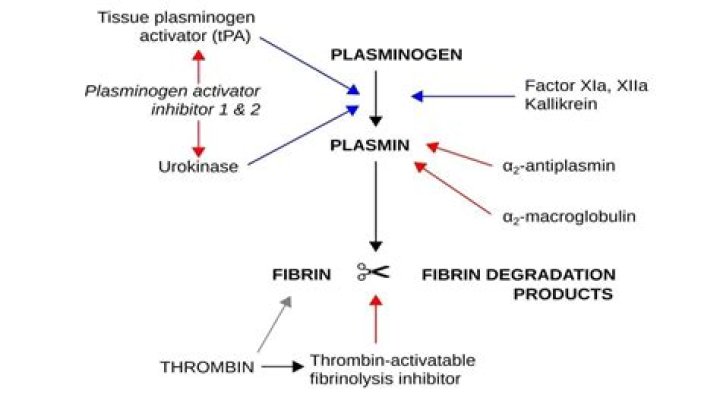 Is aspirin a fibrinolytic?