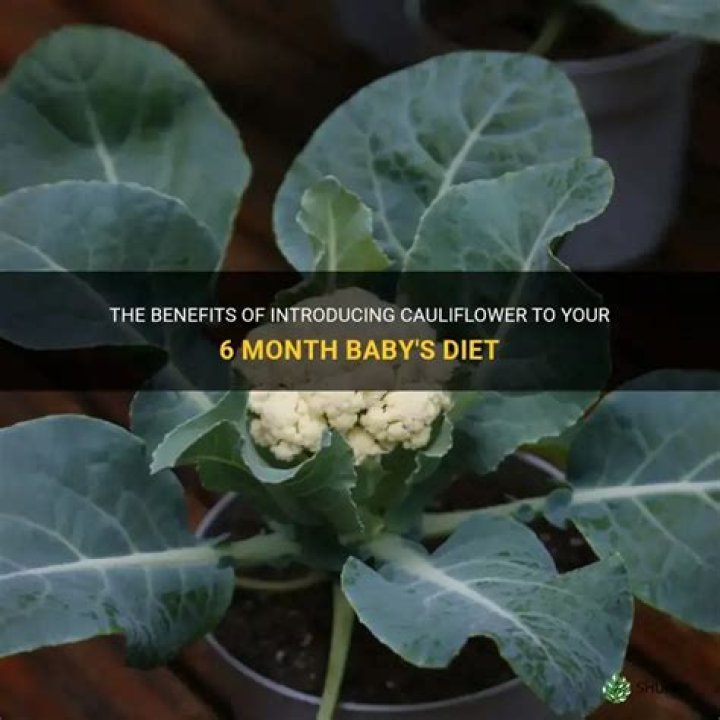 Is cauliflower good for baby?